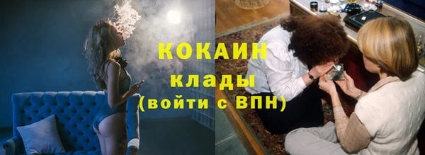 дмт Алексин