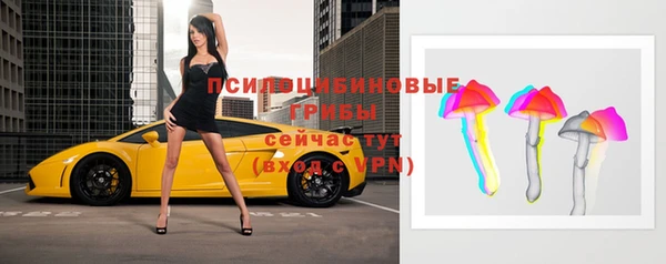 дмт Алексин